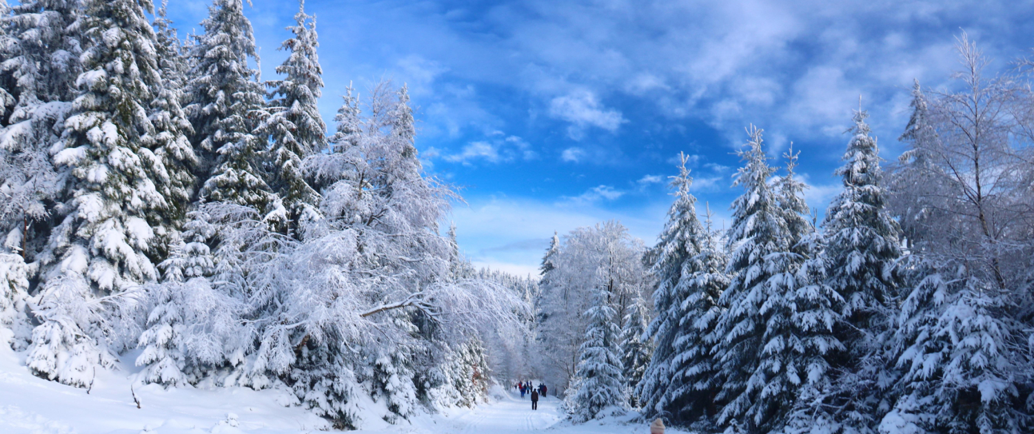 winter-landscape-5878735